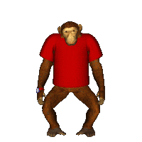 Chimp Pointing