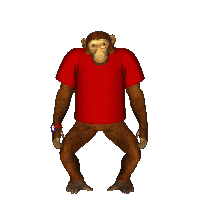 Standing Chimp